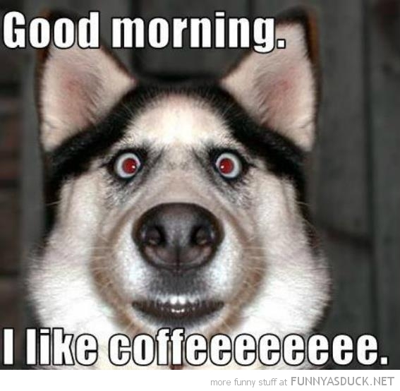 Good Morning, I like coffee Good Morning, I like coffee