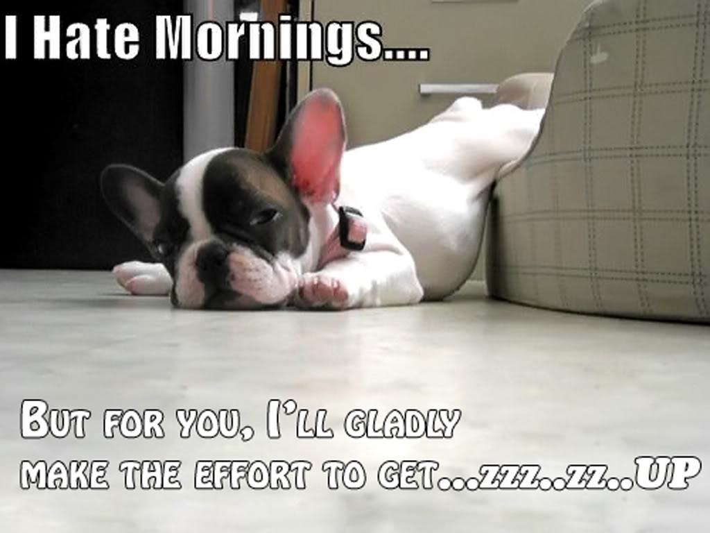 I hate mornings