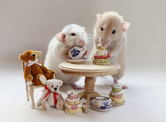 Mice Having a Tea Party