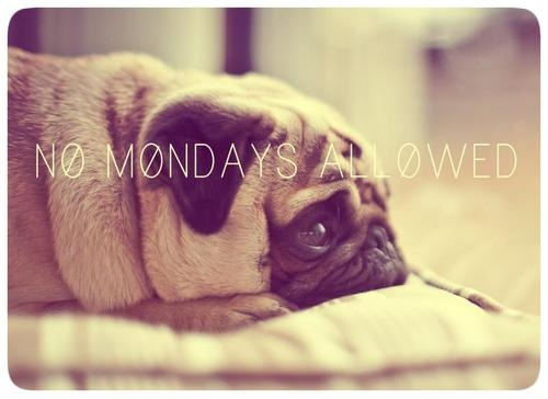 No Mondays Allowed No Mondays Allowed