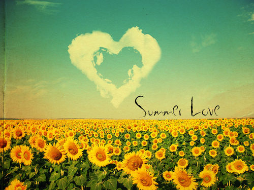 Summer Love Summer Love