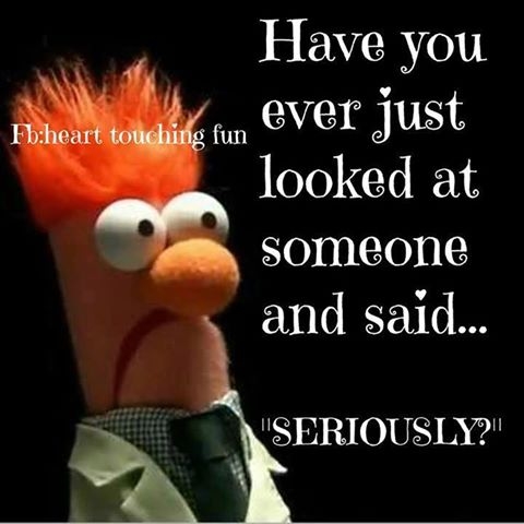 have you ever