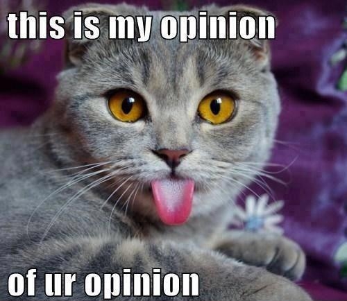 My opinion My opinion