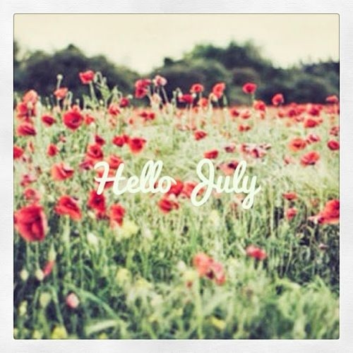 Hello July Hello July