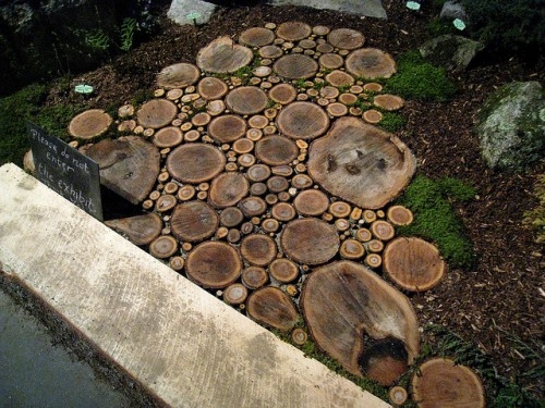 DIY Walkway of Wood Slices
