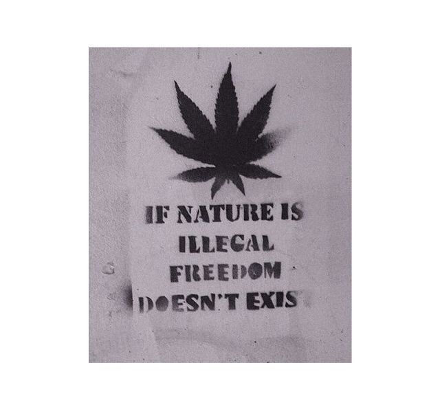NAture Illegal NAture Illegal