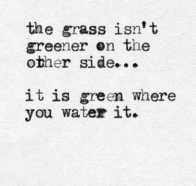 the Grass the Grass