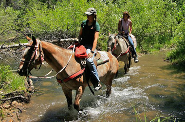 Summer Horse back riding trails sounds Fun