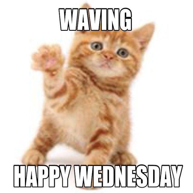 Happy Wednesday Happy Wednesday
