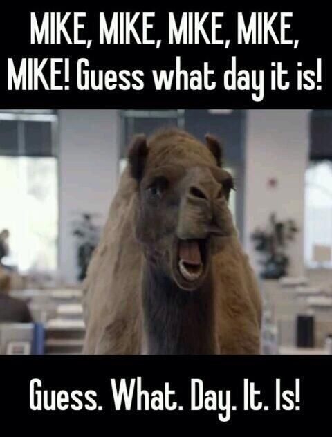 Mile guess what day it is Mile guess what day it is