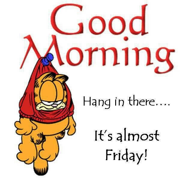 Good Morning Good Morning