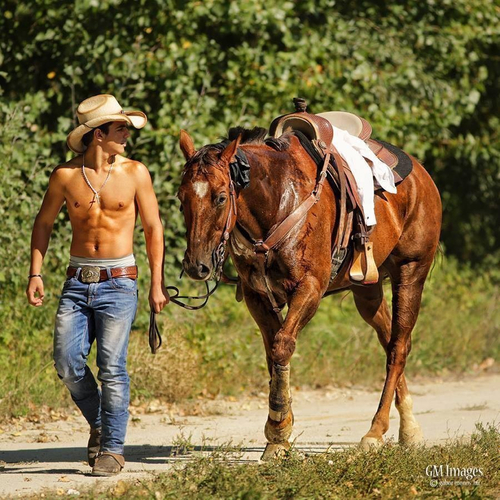 Cowboy and horse