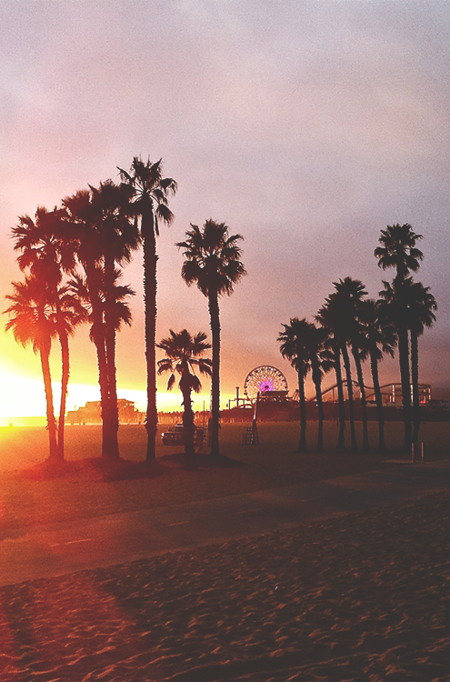 Summer sunset Summer sunset