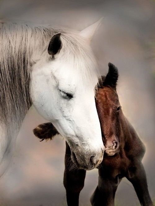 Kindred spirits