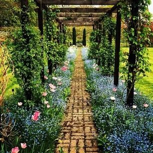 Lush green garden