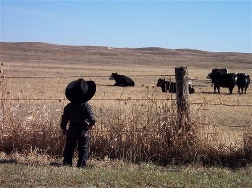 Little cowboy Little cowboy