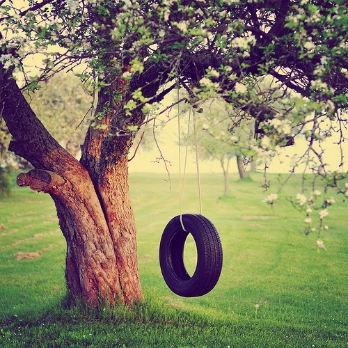 Tire swing Tire swing