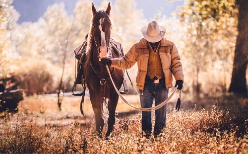 Man and horse