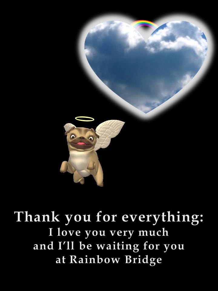 a Pug thank you note