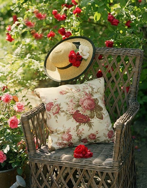 Rose garden Rose garden