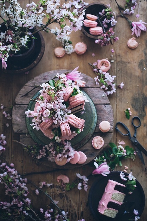 Pink flowers and desserts