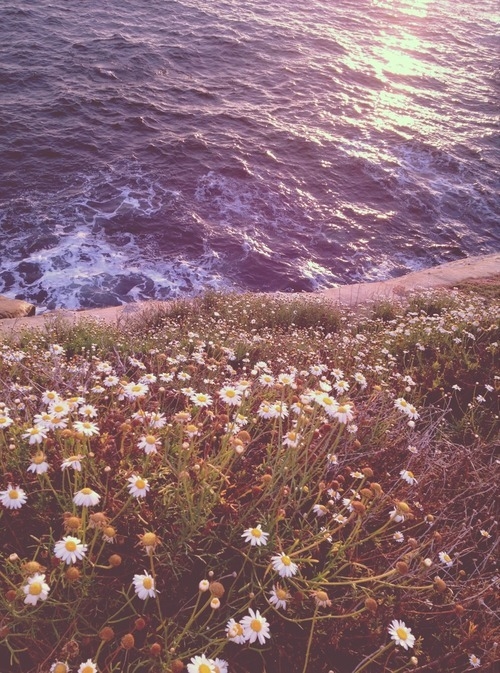 Where nature collides