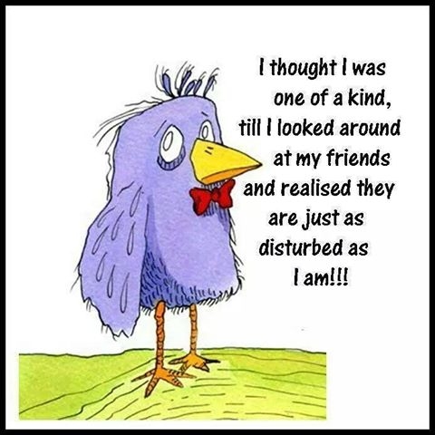my friends