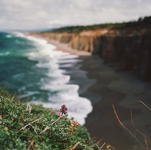Return to the ocean's edge Return to the ocean's edge