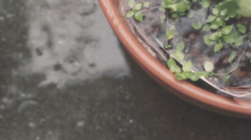Rain falling