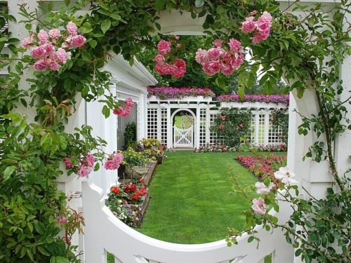 Garden View Garden View