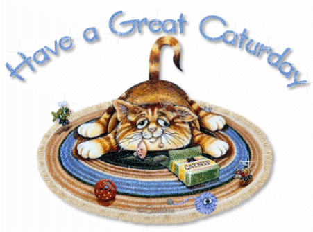 Have a great Caturday!