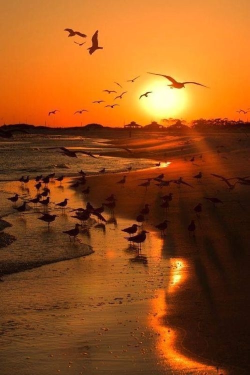 Sunrise