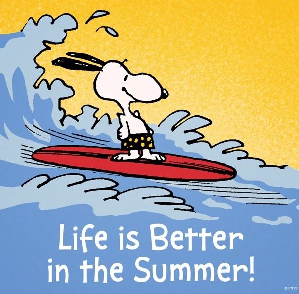 Life is better in summer Life is better in summer