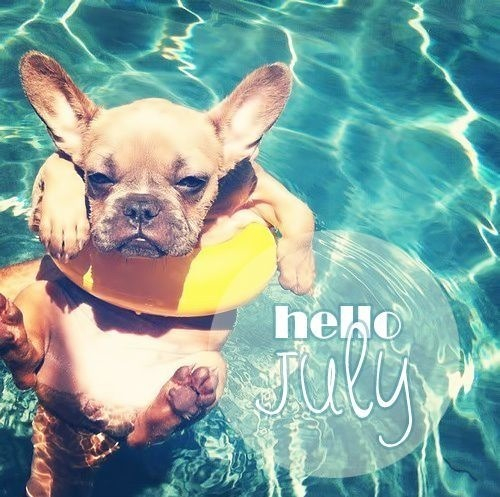 Hello July