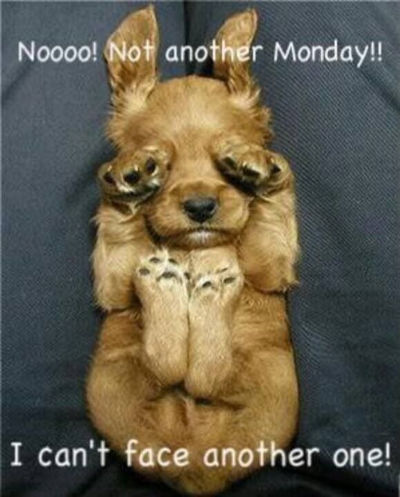 Not another Monday Not another Monday