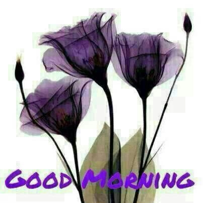 Good Morning
