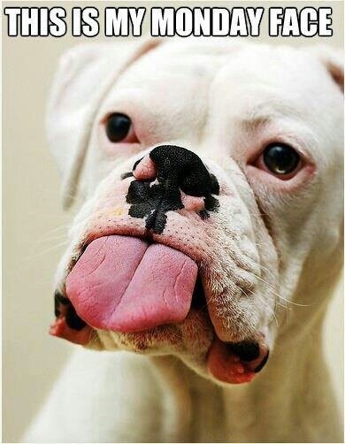 My Monday face My Monday face