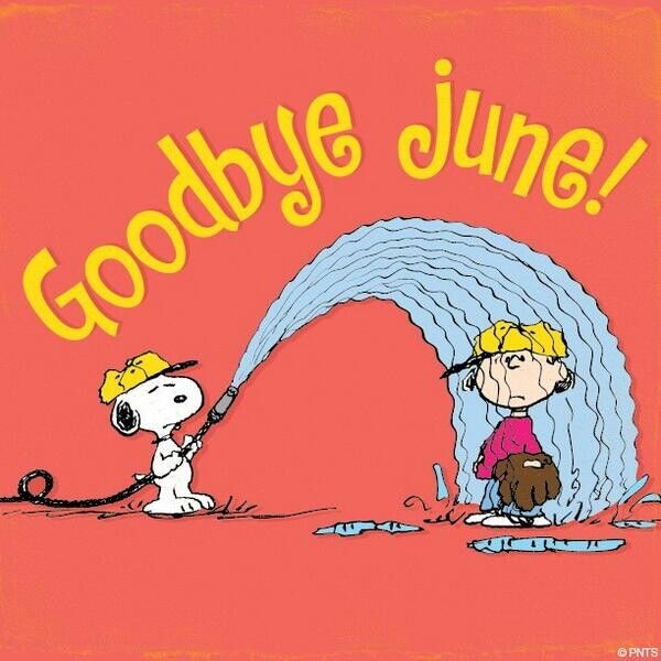Goodbye June Goodbye June