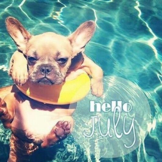 Hello July Hello July