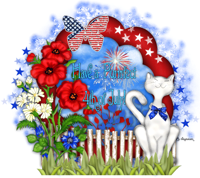 Have a Purrrfect 4th of July