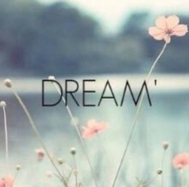 Dream Dream