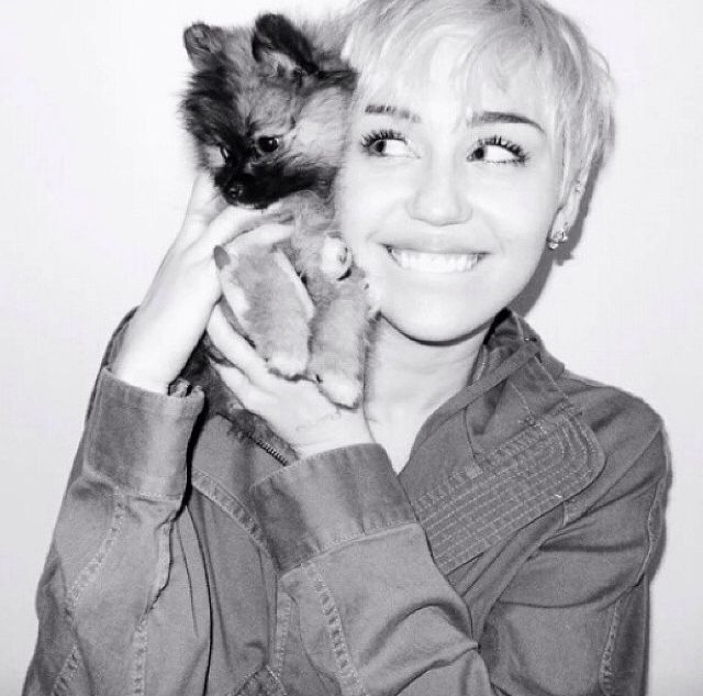 Cute Miley Cyrus and Dog Cute Miley Cyrus and Dog