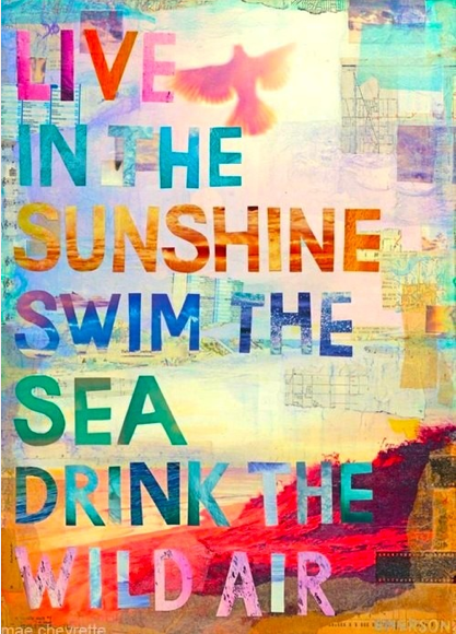 Live in the Sunshine-Swim in the Sea-Drink the Wild Air Live in the Sunshine-Swim in the Sea-Drink the Wild Air