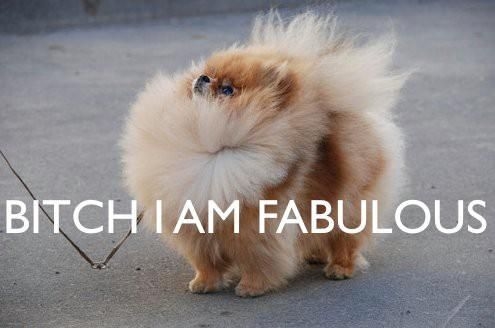 I am fabulous I am fabulous