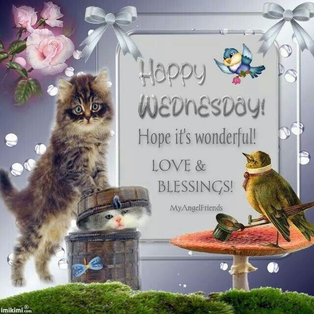 Happy Wednesday Happy Wednesday