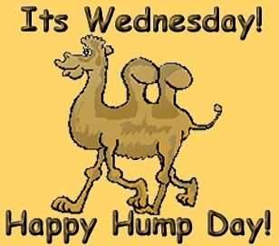 It's wednesday It's wednesday