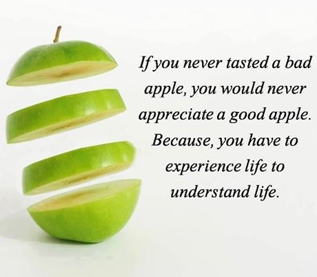 Life Life