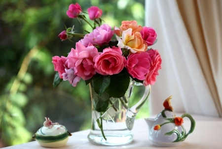 Bright Colorful Roses Bright Colorful Roses