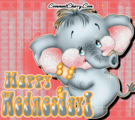 Happy Wednesday