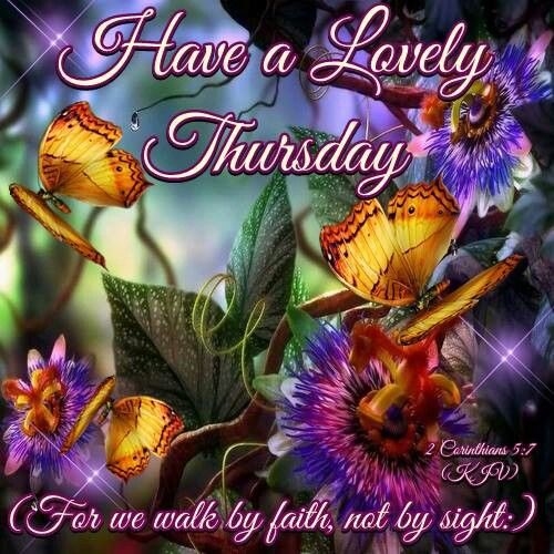 Have a lovely Thursday